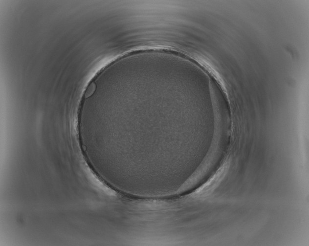 X0000112770797200908201506