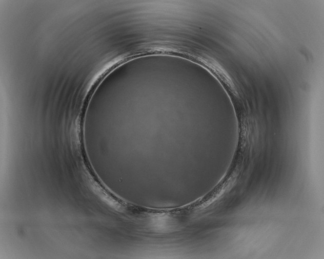 X0000112770798200908201506