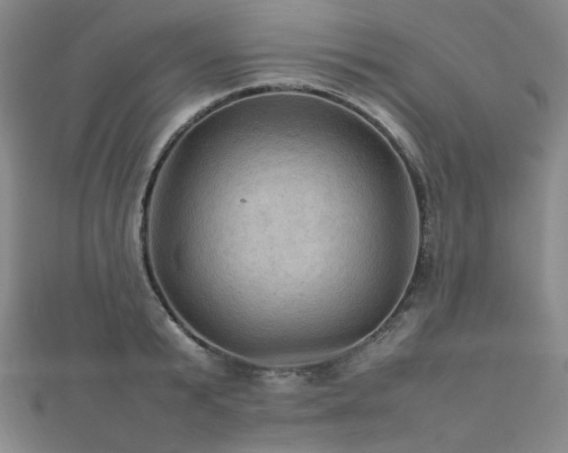 X0000112770799200908201506