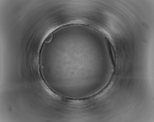 X0000112770800200908201506
