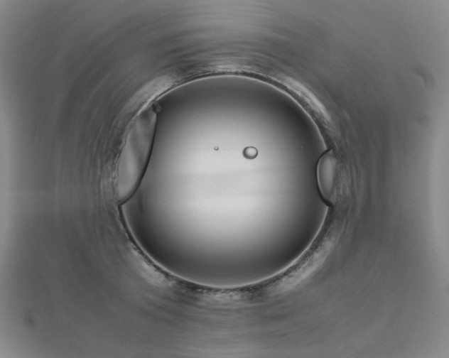 X0000112770801200908201506