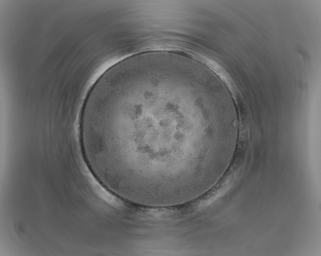 X0000112770803200908201506