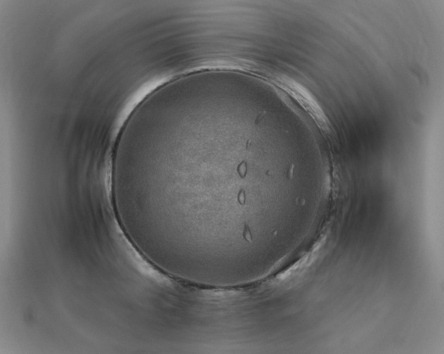 X0000112770804200908201506