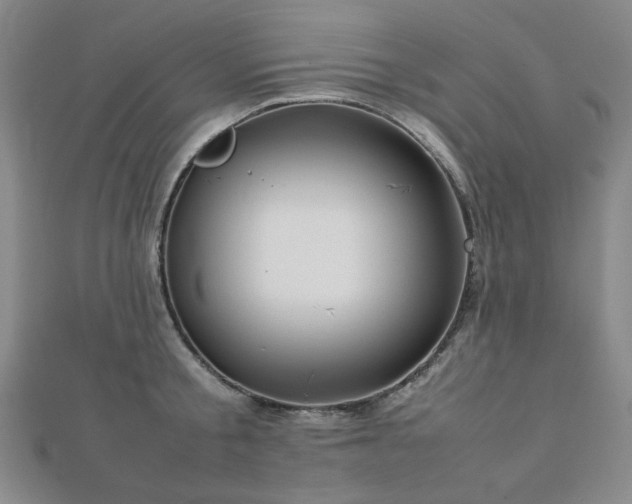 X0000112770805200908201506