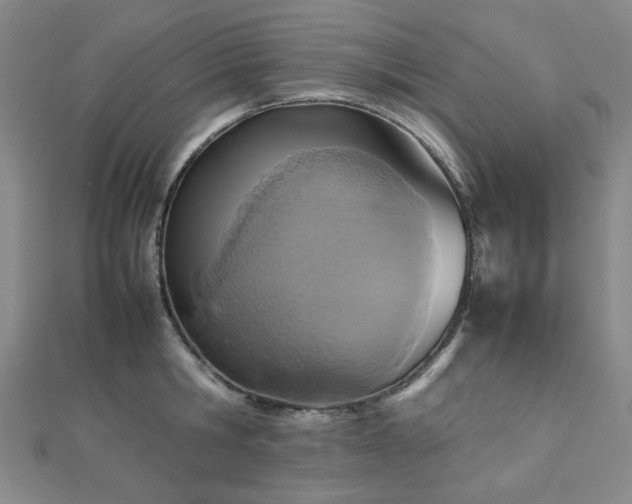 X0000112770806200908201506