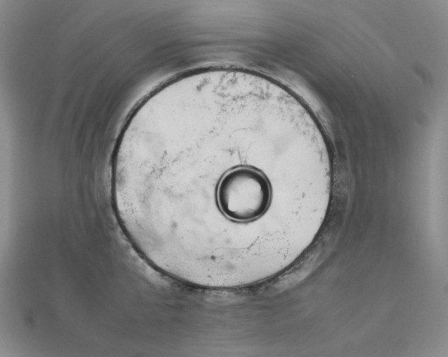 X0000112770807200908201506