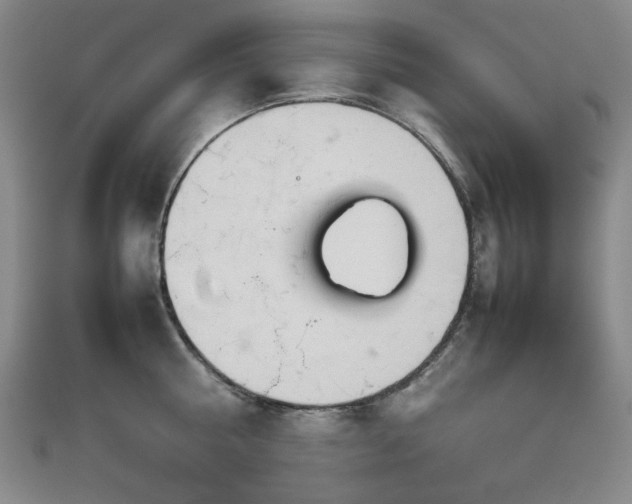 X0000112770810200908201506