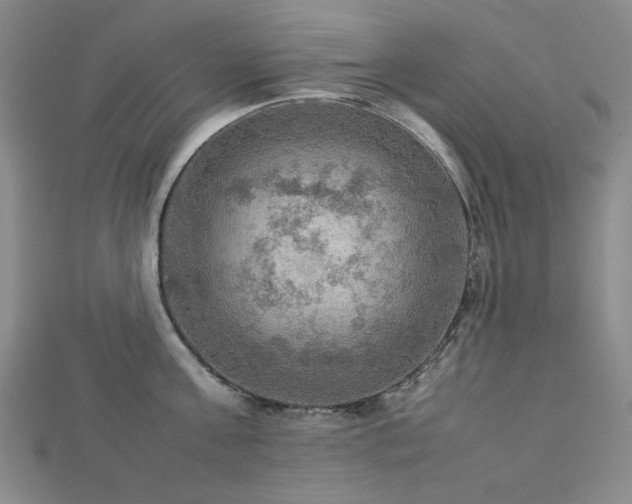 X0000112770811200908201506