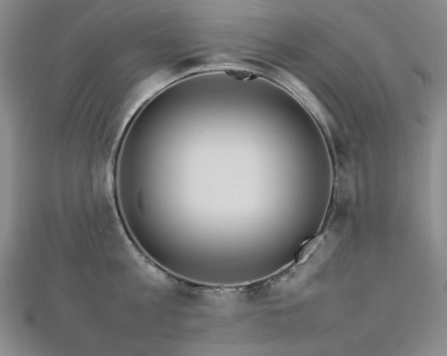 X0000112770813200908201506