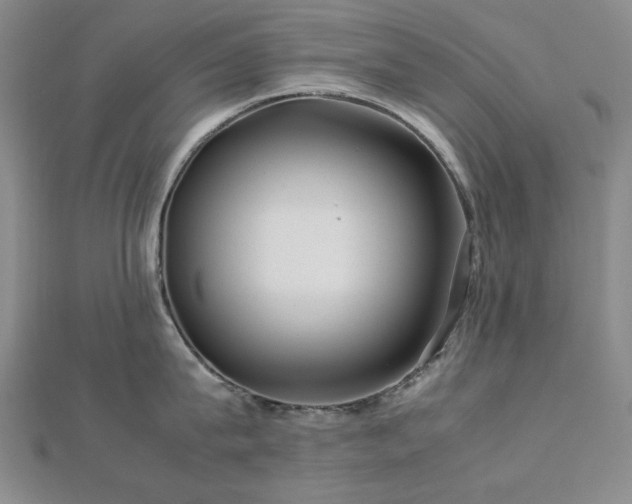 X0000112770815200908201506