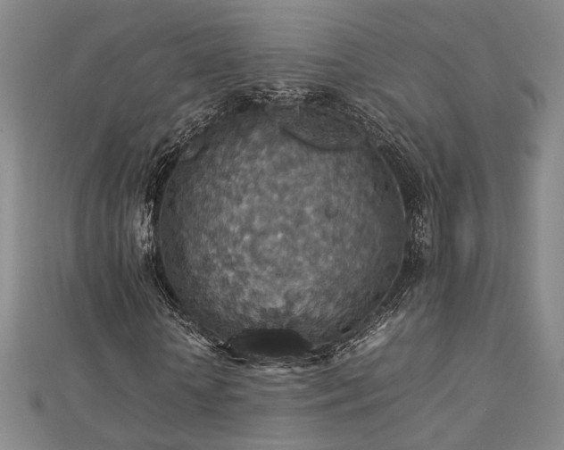 X0000112770818200908201505