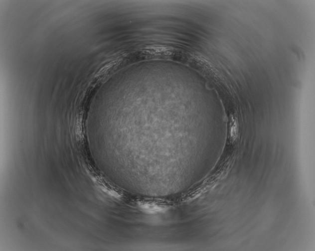X0000112770819200908201505
