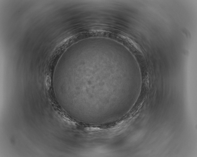 X0000112770821200908201505