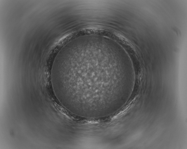X0000112770822200908201505