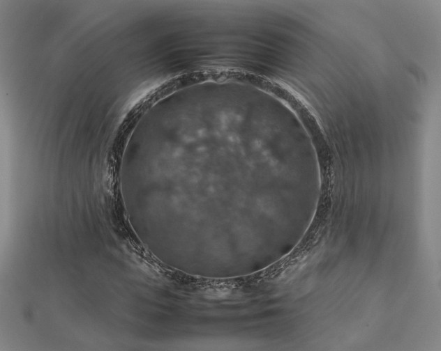 X0000112770823200908201505