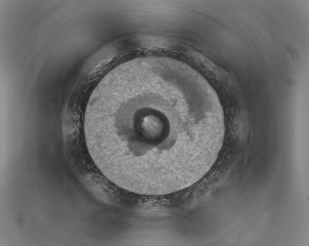 X0000112770824200908201505