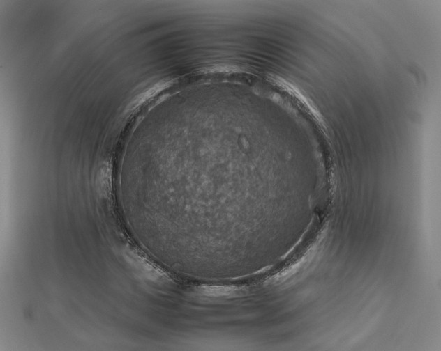 X0000112770825200908201505