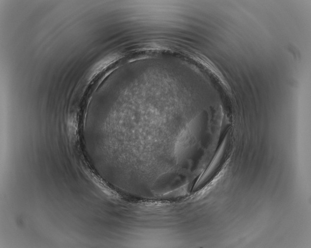 X0000112770826200908201505