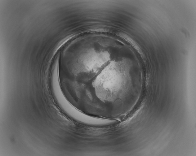 X0000112770829200908201505