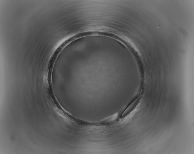 X0000112770830200908201505