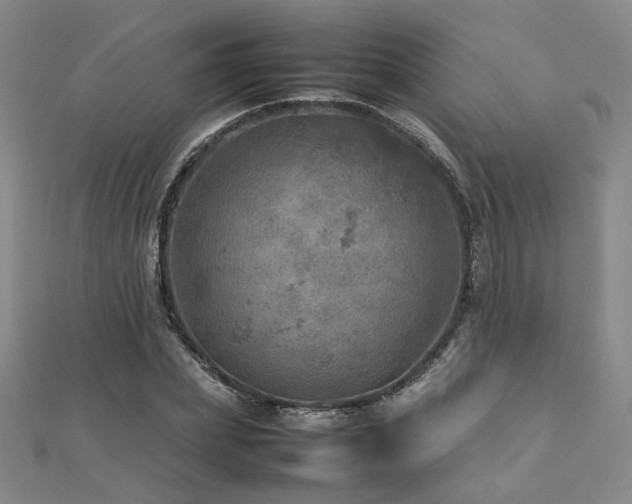X0000112770831200908201505