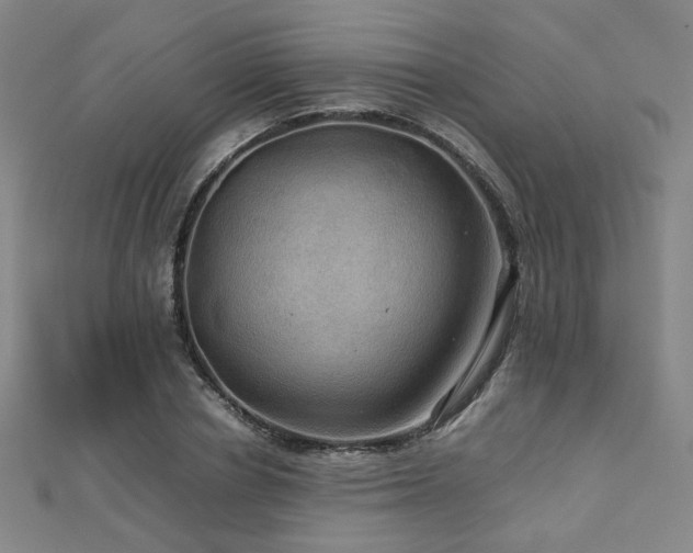 X0000112770834200908201505