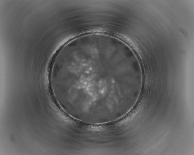 X0000112770835200908201505