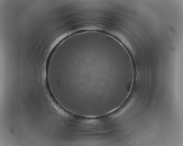 X0000112770837200908201506