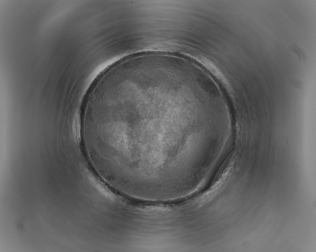 X0000112770838200908201506