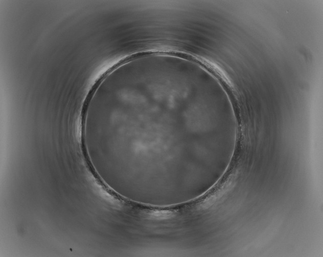 X0000112770839200908201506