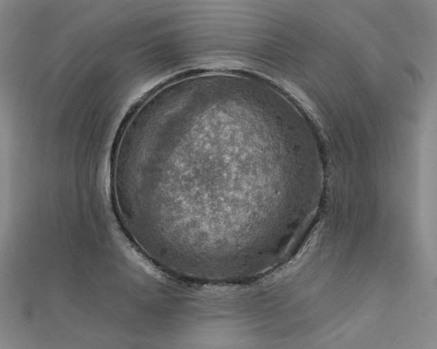 X0000112770840200908201506