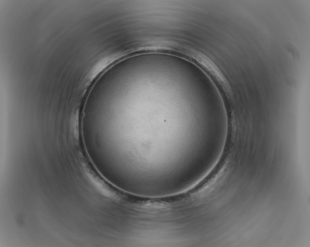 X0000112770842200908201506