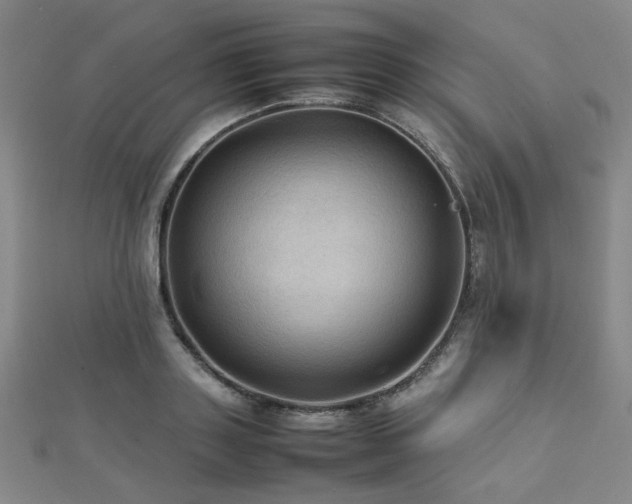 X0000112770843200908201506