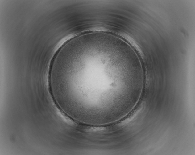 X0000112770845200908201506