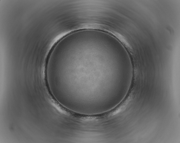 X0000112770846200908201506