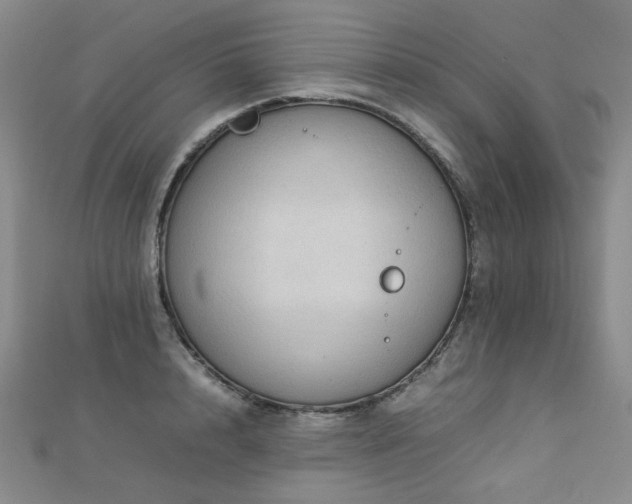 X0000112770848200908201506