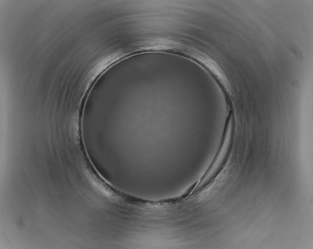 X0000112770850200908201506