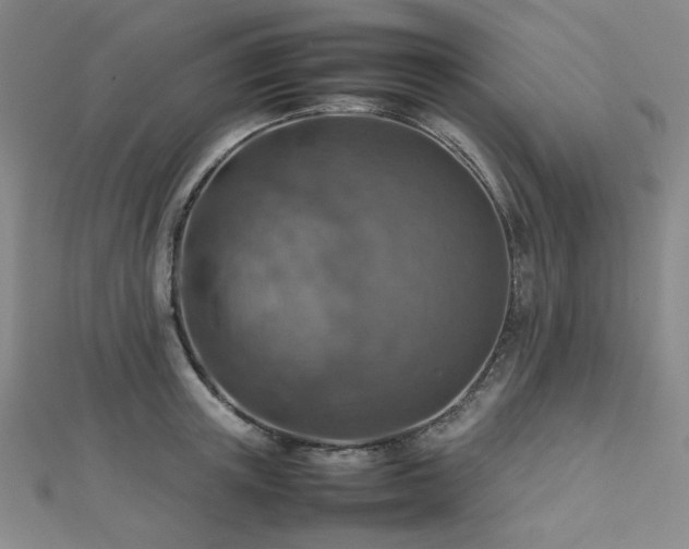 X0000112770851200908201506