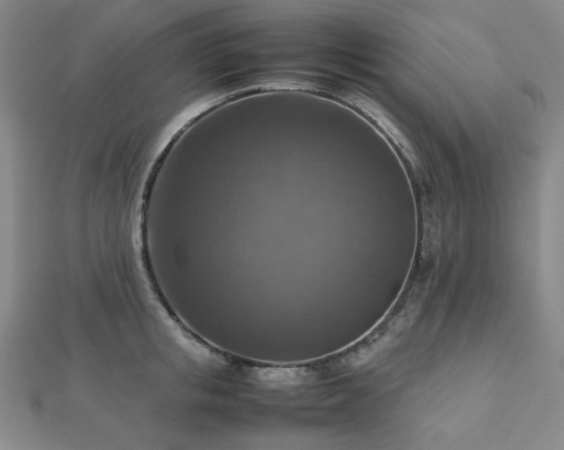 X0000112770853200908201506