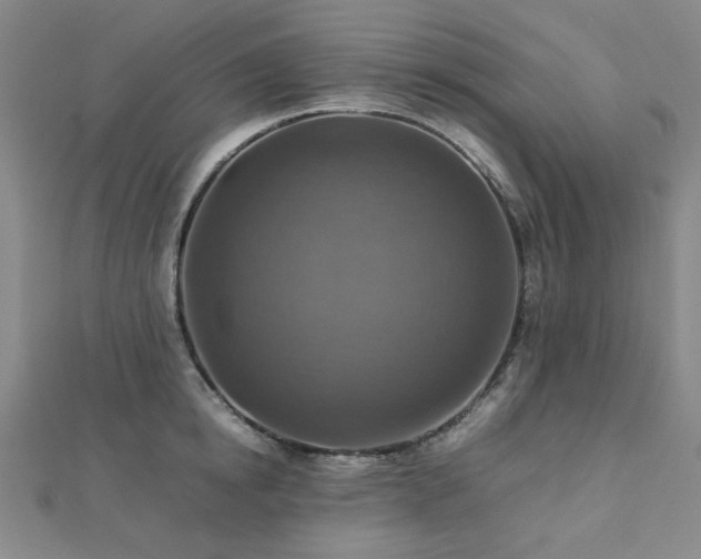 X0000112770854200908201506