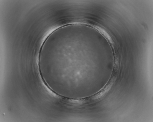 X0000112770855200908201506