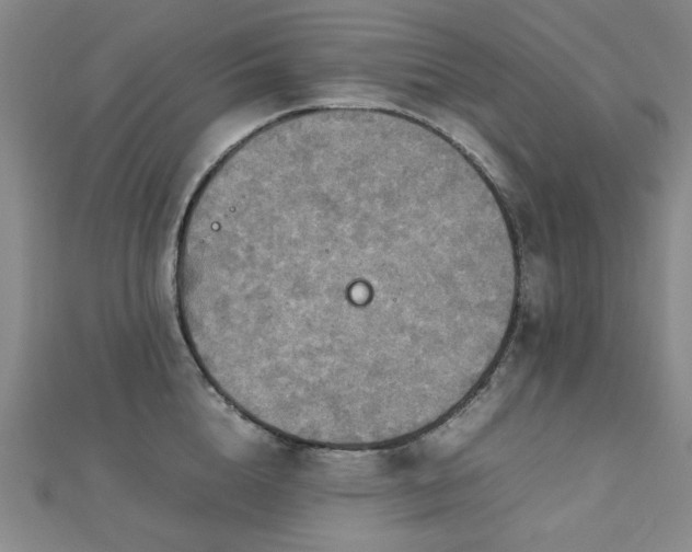 X0000112770856200908201506