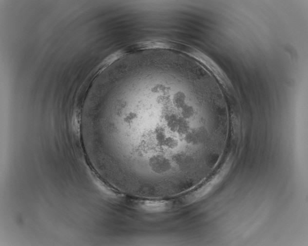 X0000112770857200908201506