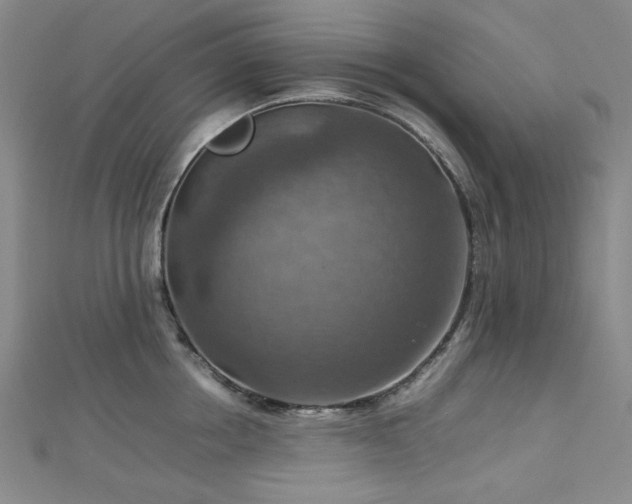 X0000112770858200908201506