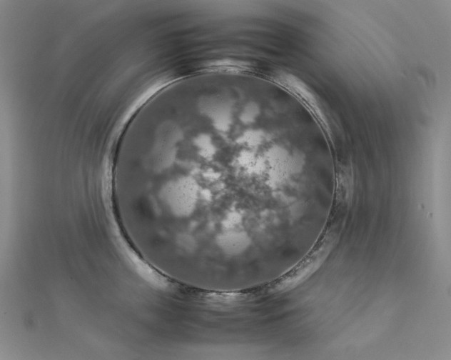 X0000112770859200908201506