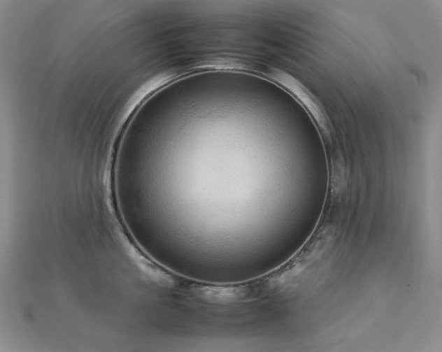 X0000112770861200908201506
