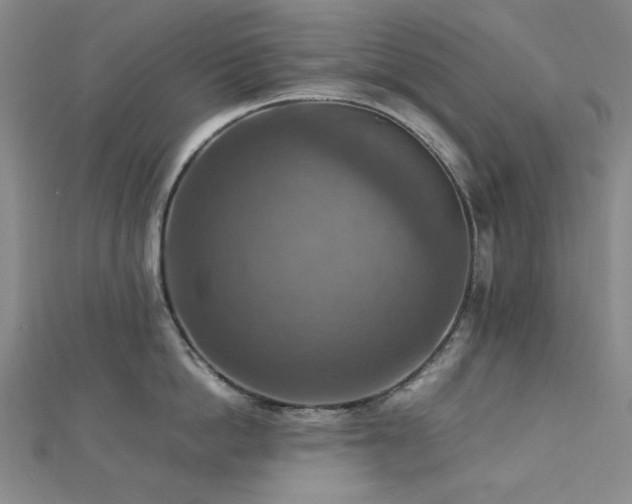 X0000112770862200908201506