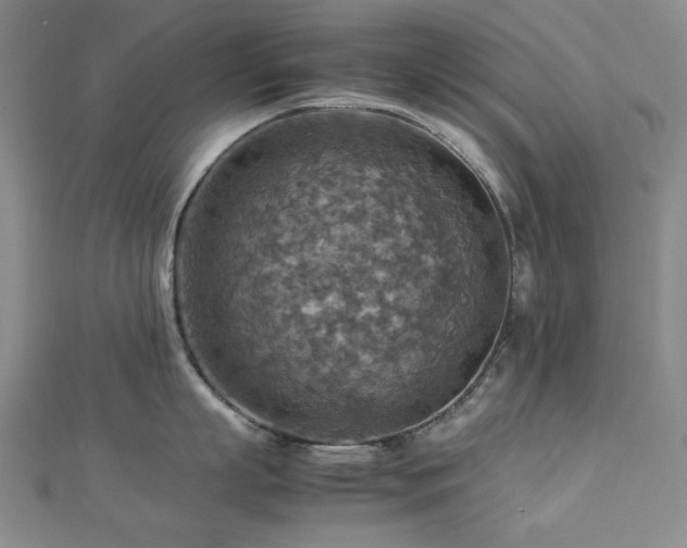 X0000112770863200908201506