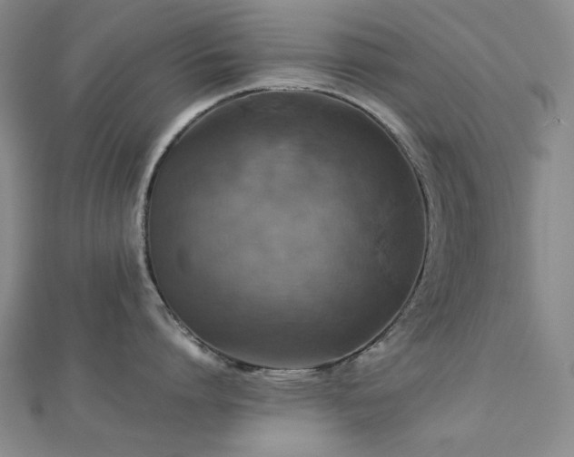X0000112770864200908201506
