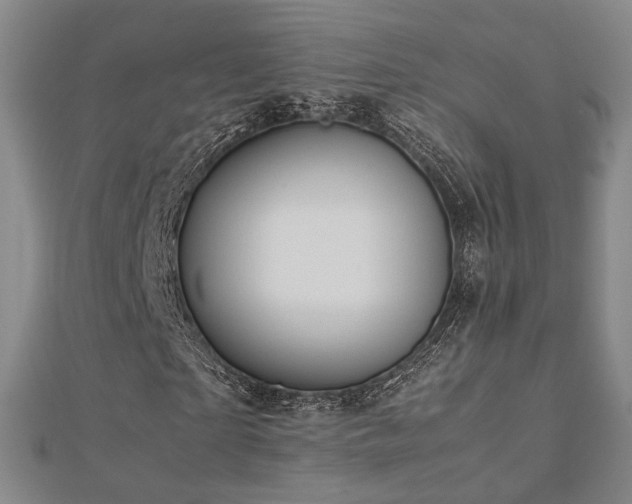 X0000112770865200908201505